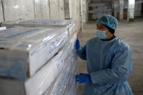 直擊上海冷庫第一線 進口冷鏈食品還能吃嗎？張文宏這樣建議